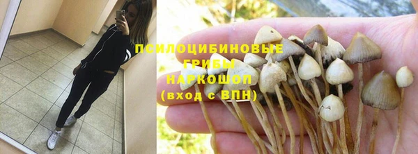 трава Аркадак