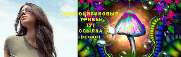 прущая мука Армянск
