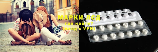 трава Аркадак