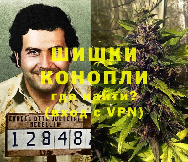 ешки Арсеньев