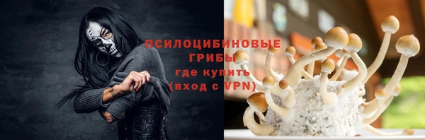 прущая мука Армянск