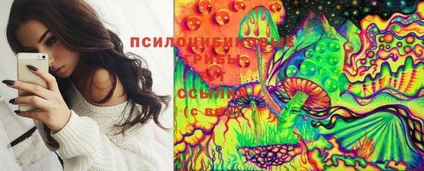 трава Аркадак