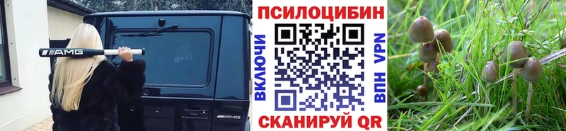 наркошоп  kraken ONION  Галлюциногенные грибы Psilocybe  это наркотические препараты  Саки 