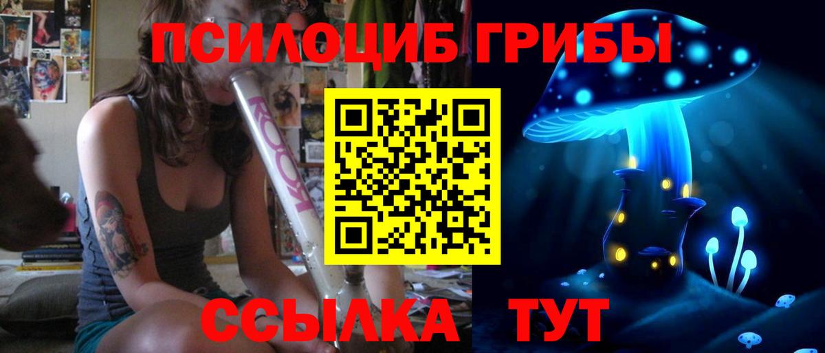 Галлюциногенные грибы мицелий  Псилоцибиновые грибы Psilocybe  Саки  Вход с VPN 