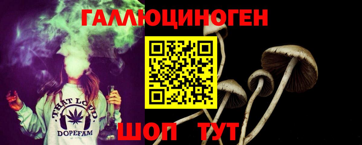 Псилоцибиновые грибы GOLDEN TEACHER Саки